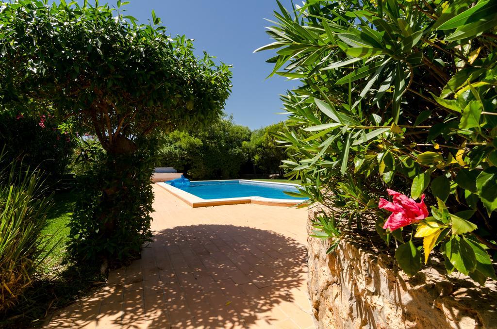 Villa Do Monte Monte Raposo 客房 照片